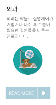 이미지명