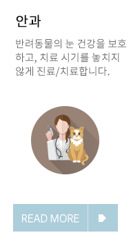 이미지명
