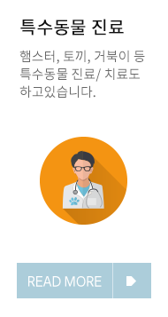 이미지명