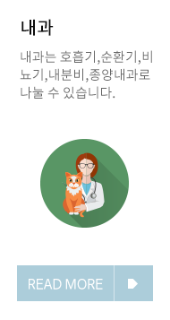 이미지명